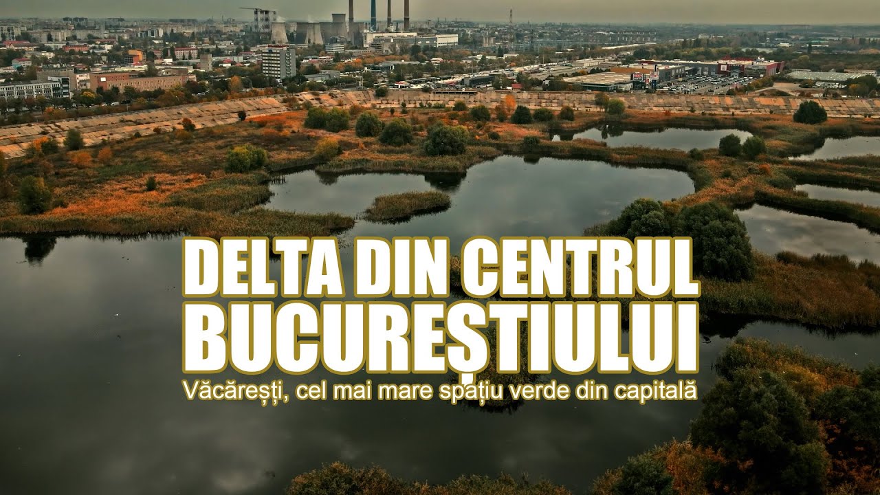 Delta din centrul Bucureștiului – Văcărești, cel mai mare spațiu verde din capitală
