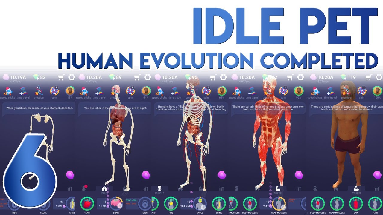 Idle Pet HUMAN Evolution Completed [Fully Evolved]