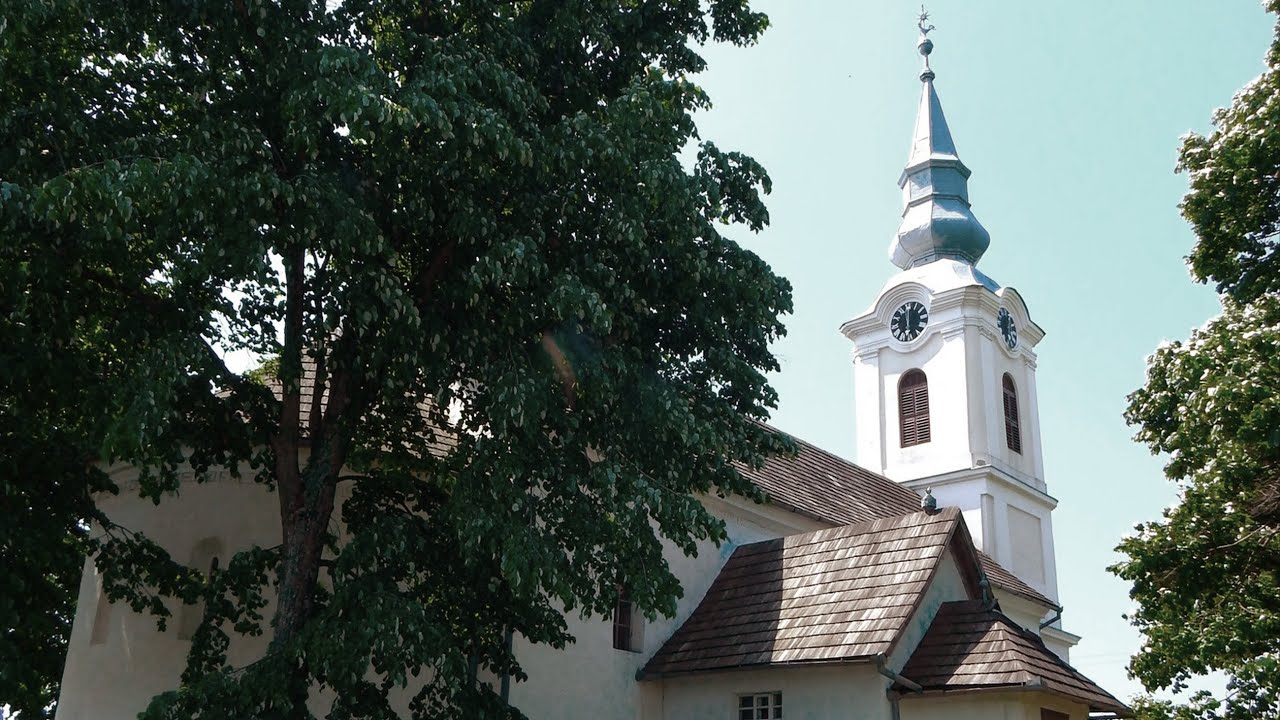 Siter - 2011