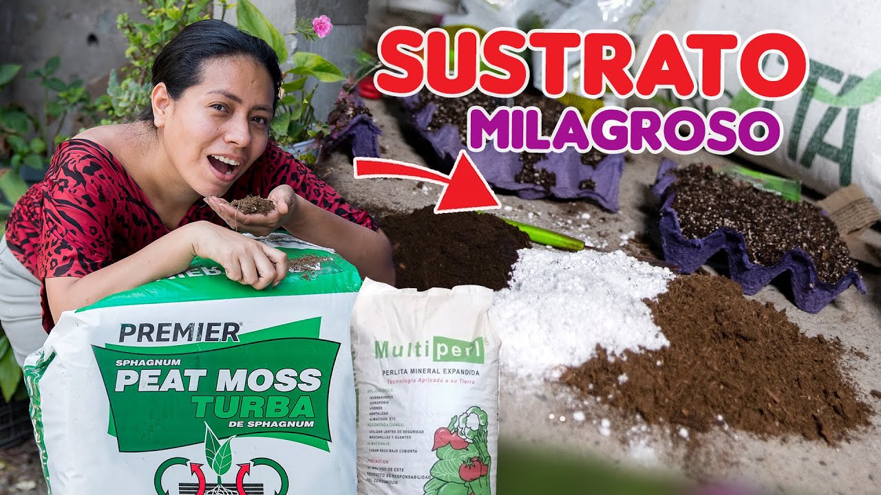 peat moss y perlita, lo que no te cuentan 🧐🍃👩‍🌾