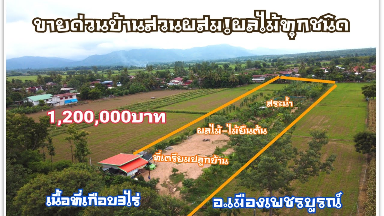(ขายแล้ว) #ขายบ้านสวนผลไม้มีผลไม้ทุกอย่าง!ในเมืองเพชรบูรณ์/ไอดีไลน์gemmo4422,โทร094-2826264