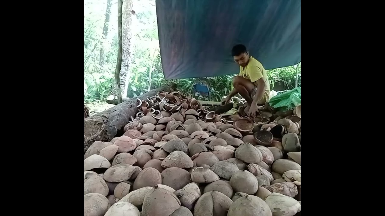 Nag COCOPRAS 