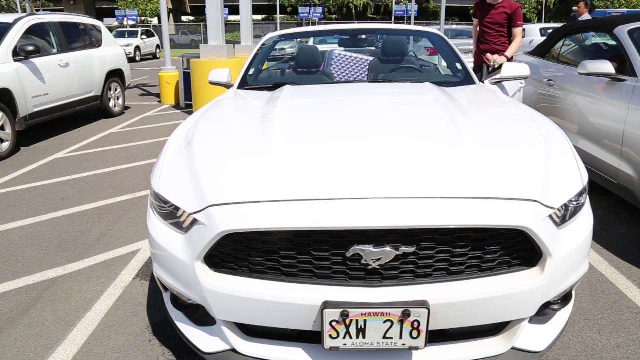 Alamo Ford Mustang