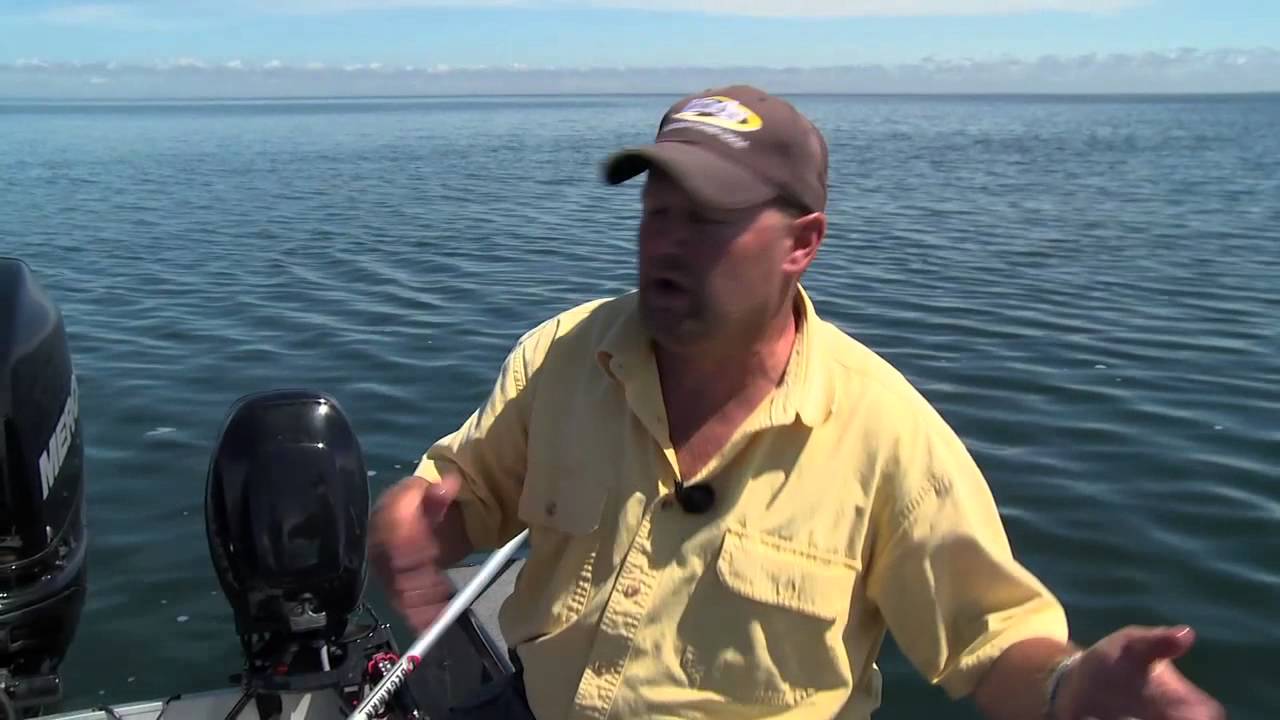 Fish Ed, Clear-Water Mille Lacs Lake Walleyes