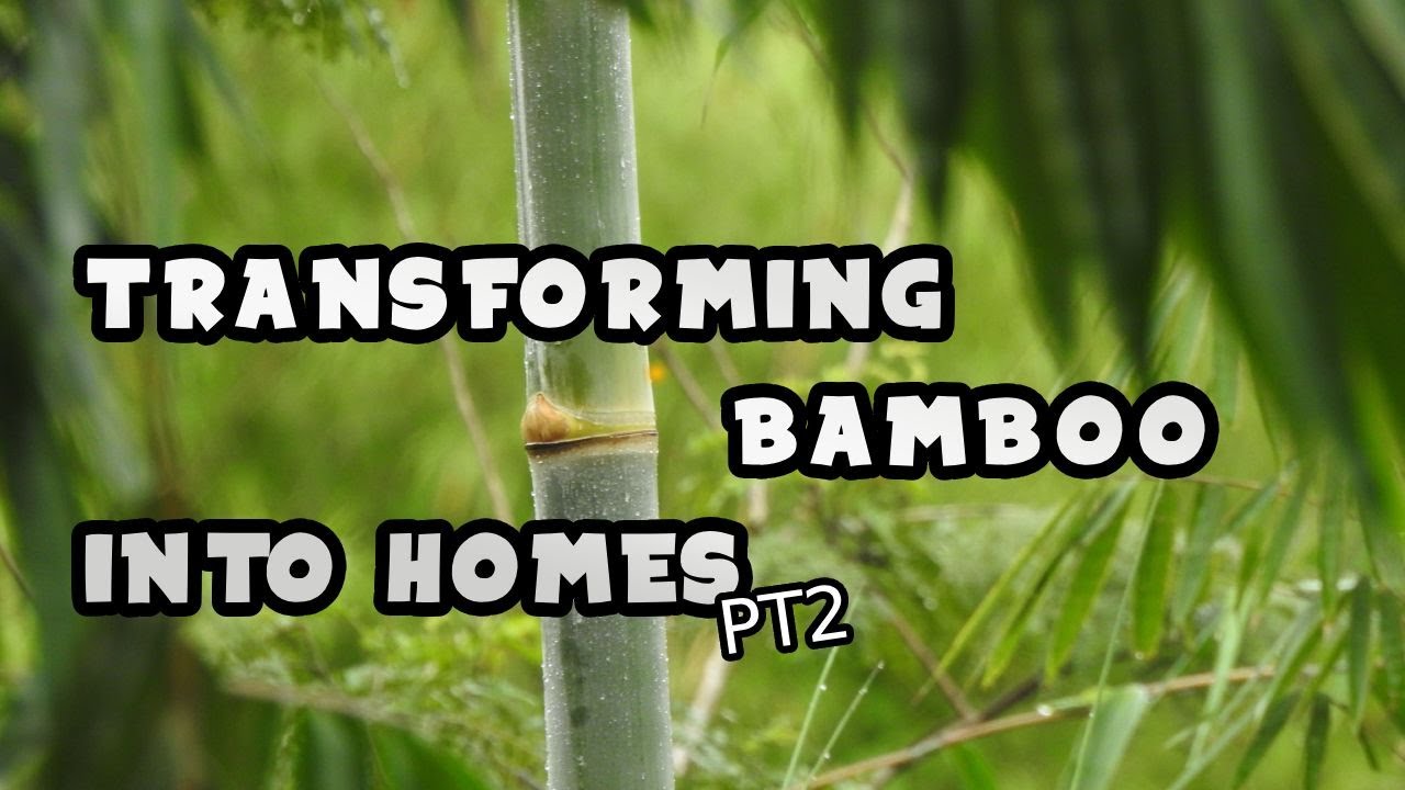 Transforming Bamboo Into Homes For Filipinos. Kawayan Collective