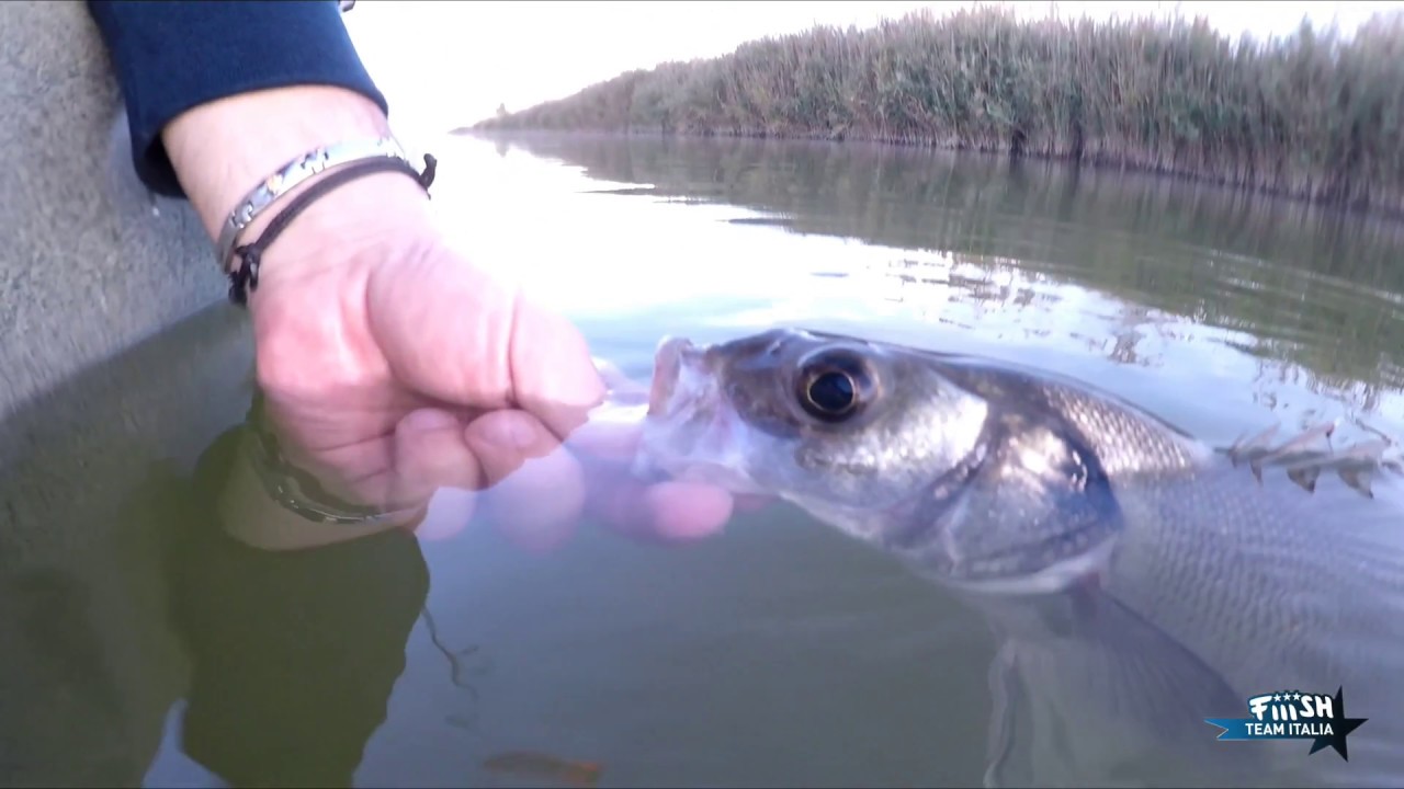 Spigole in Foce con Hobie outback camo