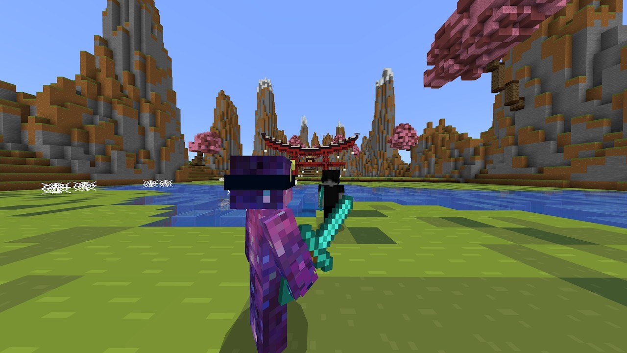 Me Vs Minecraft Pro