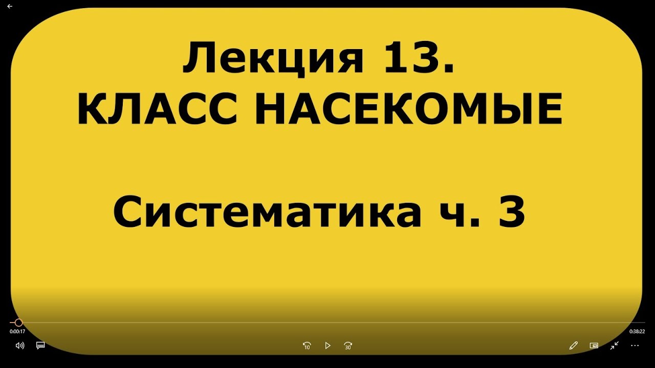 Зоология беспозвоночных. Лекция 13. Класс насекомые. Систематика насекомых ч. 3