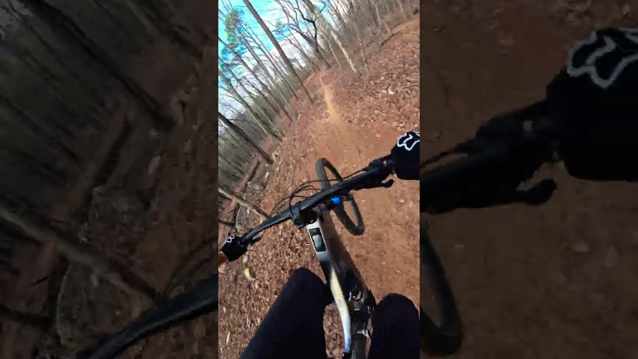 Rodeo Clown DH mountain bike trail at Oak Mountain State Park in Birmingham Alabama 