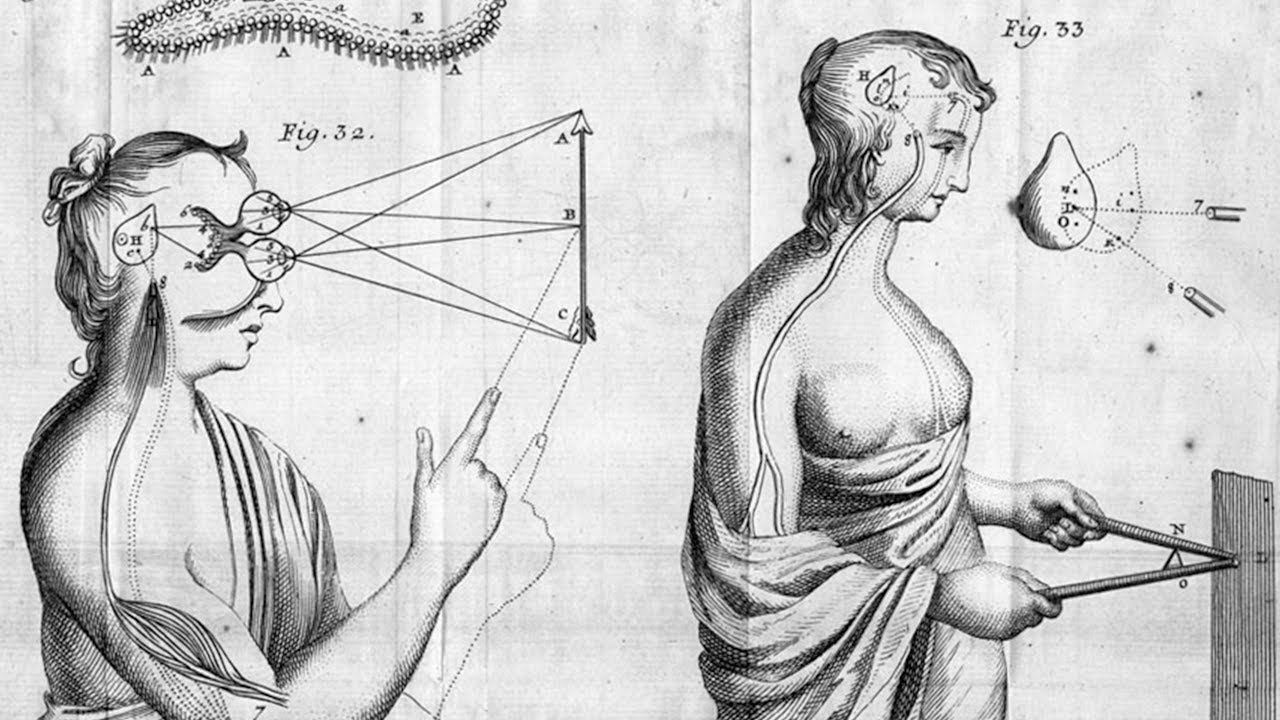 The Marxist theory of knowledge: how do we know things?
