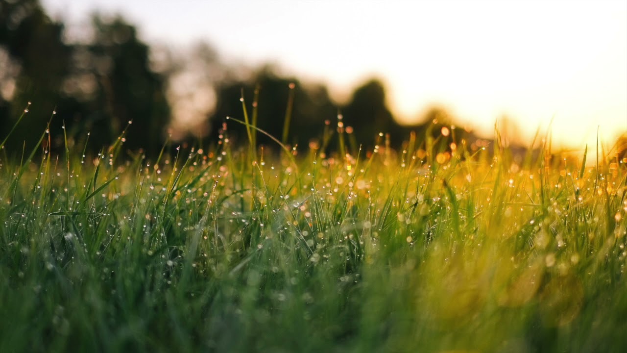 Es tönen die Lieder der Frühling | Volkslieder | Waldorf Kanon A capella
