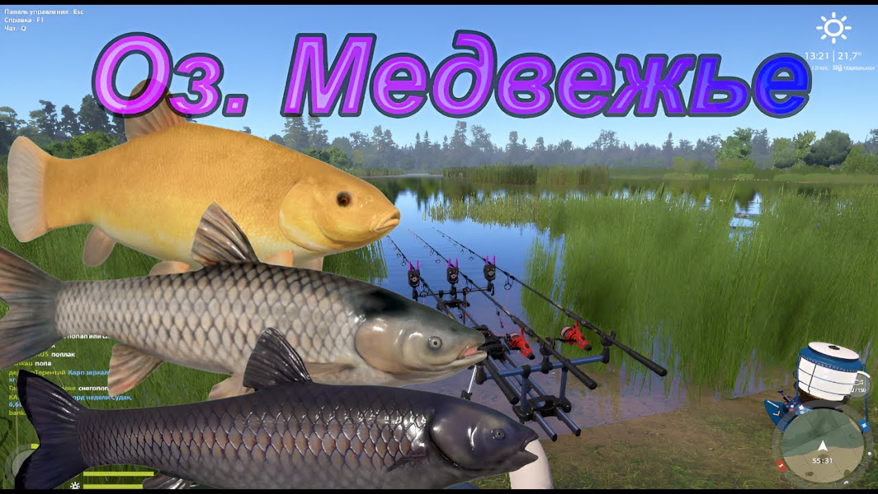 В поиске Трофа! Розыгрыши ! Подарки для зрителей !
