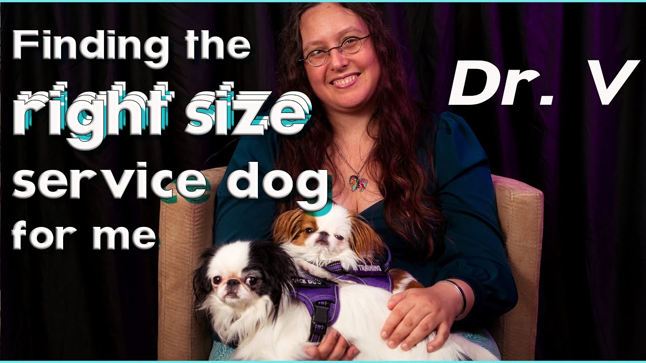 Finding the right size service dog for me
