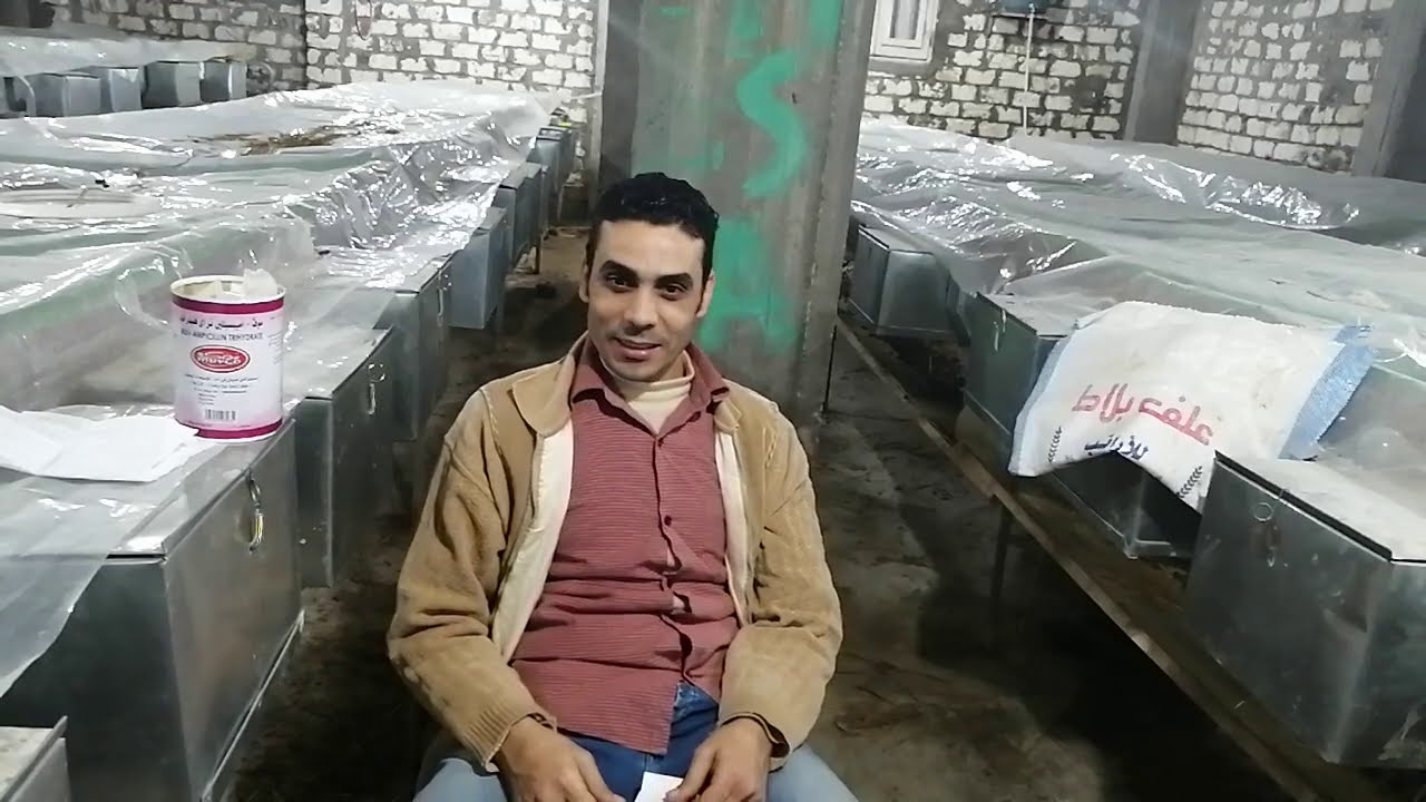 الاسهال عند الارانب وعلاجه /الاسهال الاسود والاسهال المدمم