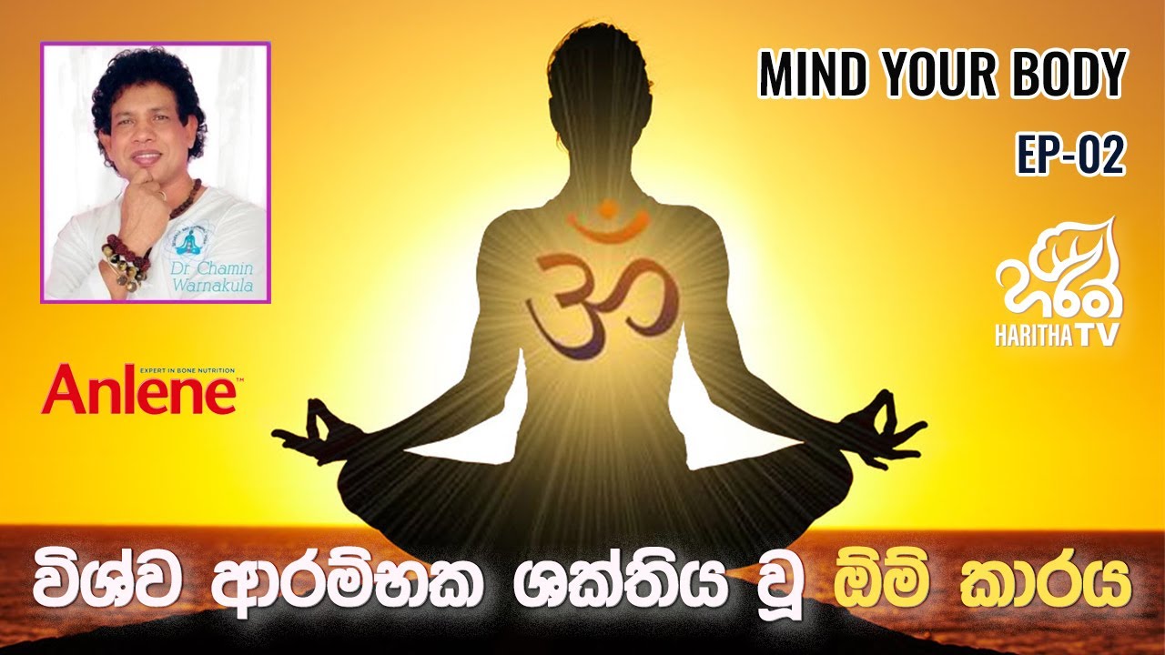 විශ්ව ආරම්භක ශක්තිය වූ 