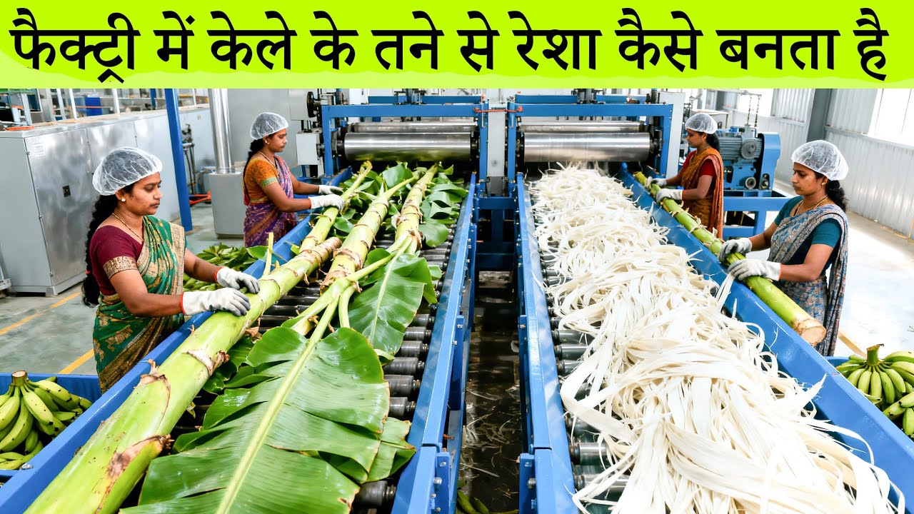 केले के तने से फाइबर कैसे बनता है | फैक्ट्री का पूरा प्रोसेस