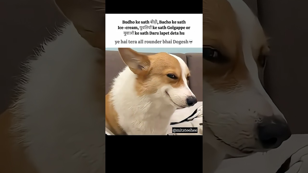 Dogesh bhai #memes #popular #viral #funnymemes #tweetreels #dogesh