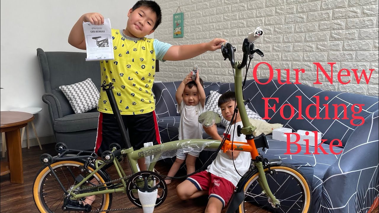 Just Get a New Folding Bike - Element Pikes Gen 2 Nature