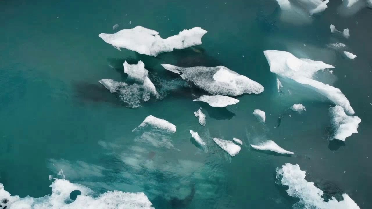 Iceberg 빙산(더울때 시원해지는 영상1시간)