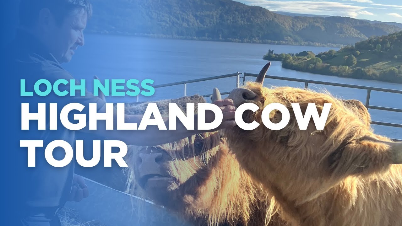 Loch Ness Highland Cow Tour
