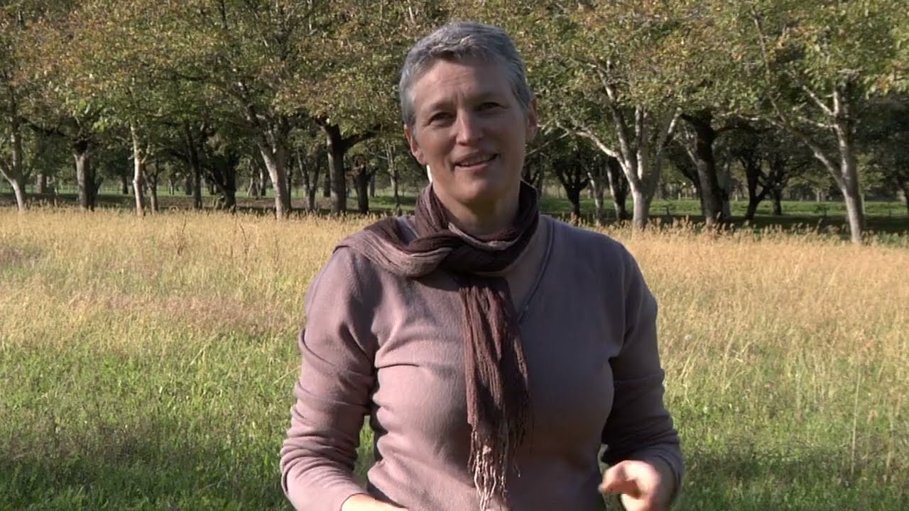 CIFF : des couverts faunistiques pour la faune sauvage