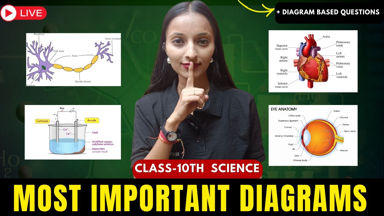 🔥 Diagram-Based Questions Explained LIVE | Score Booster Session | Brain Gain Academy