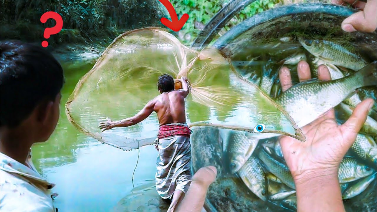 খেপলা জাল দিয়ে পুকুর থেকে মাছ ধরা হচ্ছে | 🐟🐠🦈