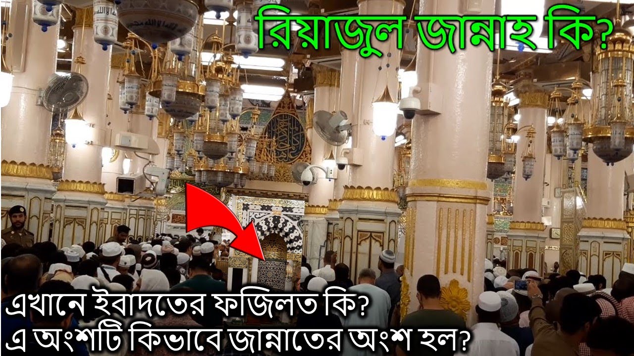 এটাই পৃথিবীর বুকে এক টুকরো জান্নাতের অংশ[রিয়াজুল জান্নাহ]-riyajul janna || riaz ul jannah-[roudah]