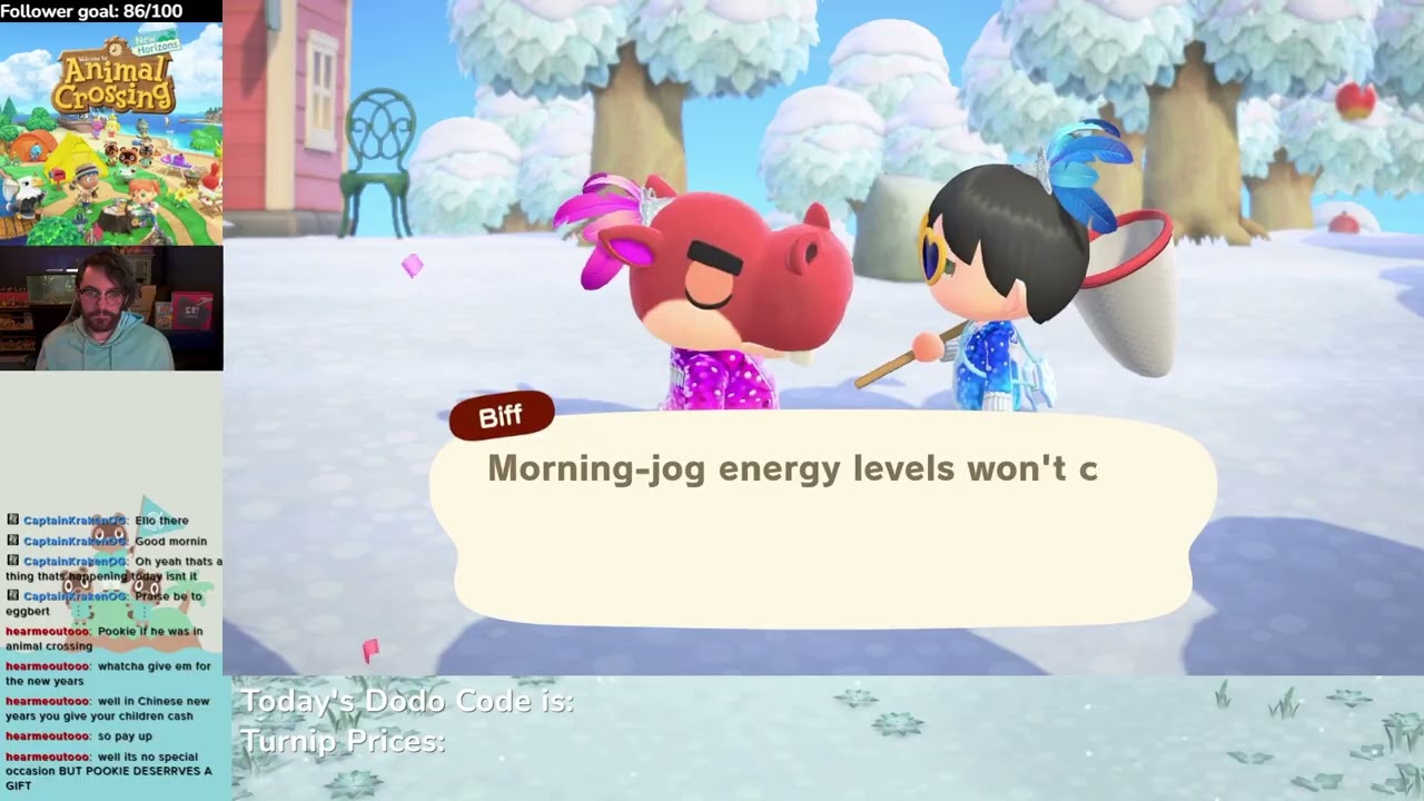 VIVA FESTIVALE - Animal Crossing: New Horizons Switch 2 Edition