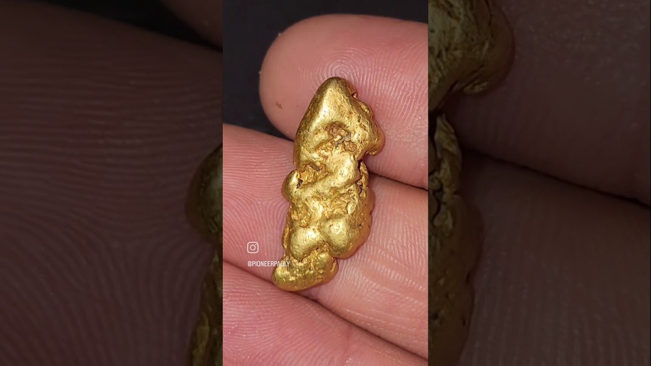 Which Gold Nugget Is Your Favorite?