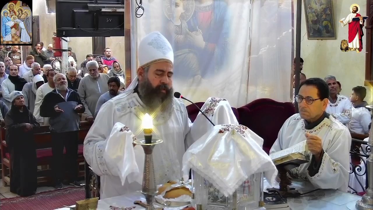 قداس عيد دخول السيد المسيح الهيكل من كنيسة مار مرقس بقلوصنا - سمالوط - المنيا