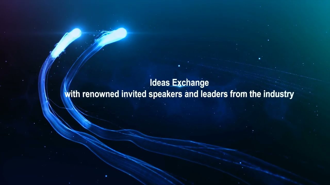 DSMIE Conference Series