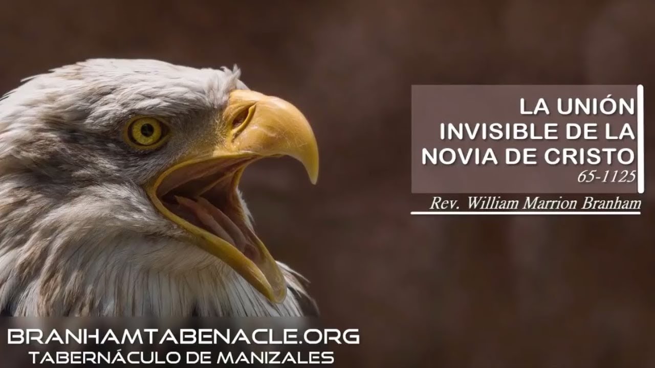 65-1125 | La Unión Invisible De La Novia De Cristo | William Marrion Branham
