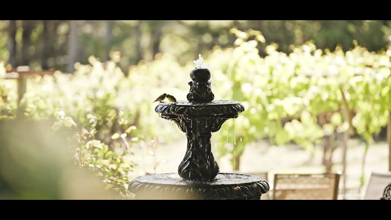 6364 starr rd, windsor ca 2160p