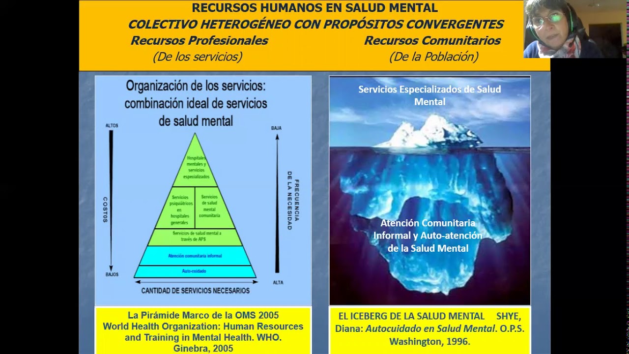 Salud Mental Comunitaria