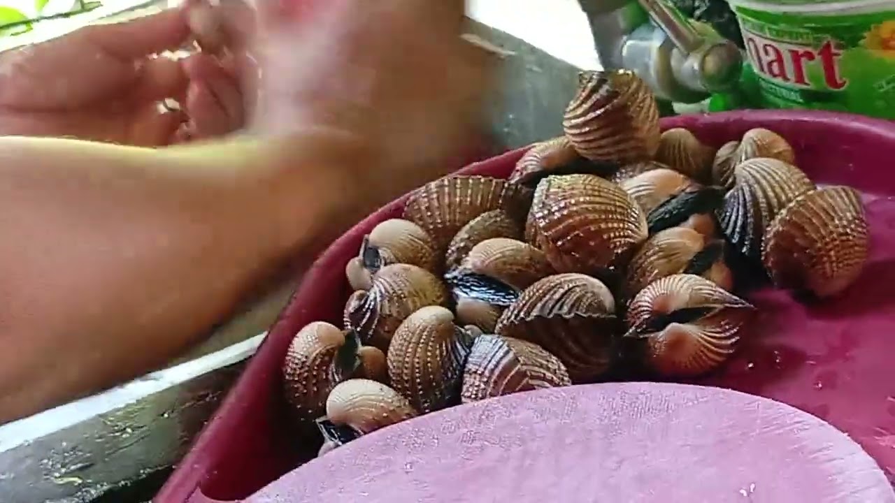 Clams hugasan ng mabuti para lulutoin