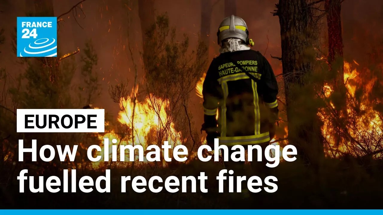 How did climate change fuel the wildfires ravaging Europe this summer? &bull; FRANCE 24 English