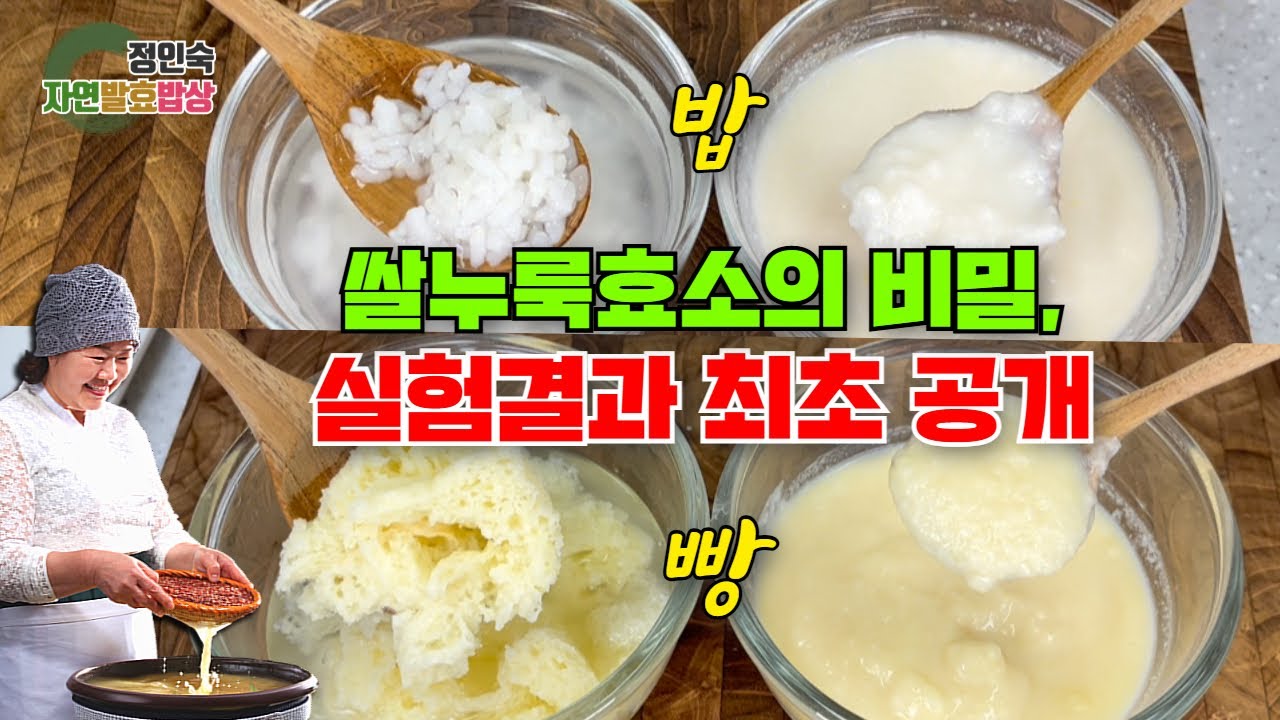 쌀누룩효소의 효능, 어쩔수가 없어서 밝힌다. The Health Benefits of Enzymes: I am compelled to disclose this
