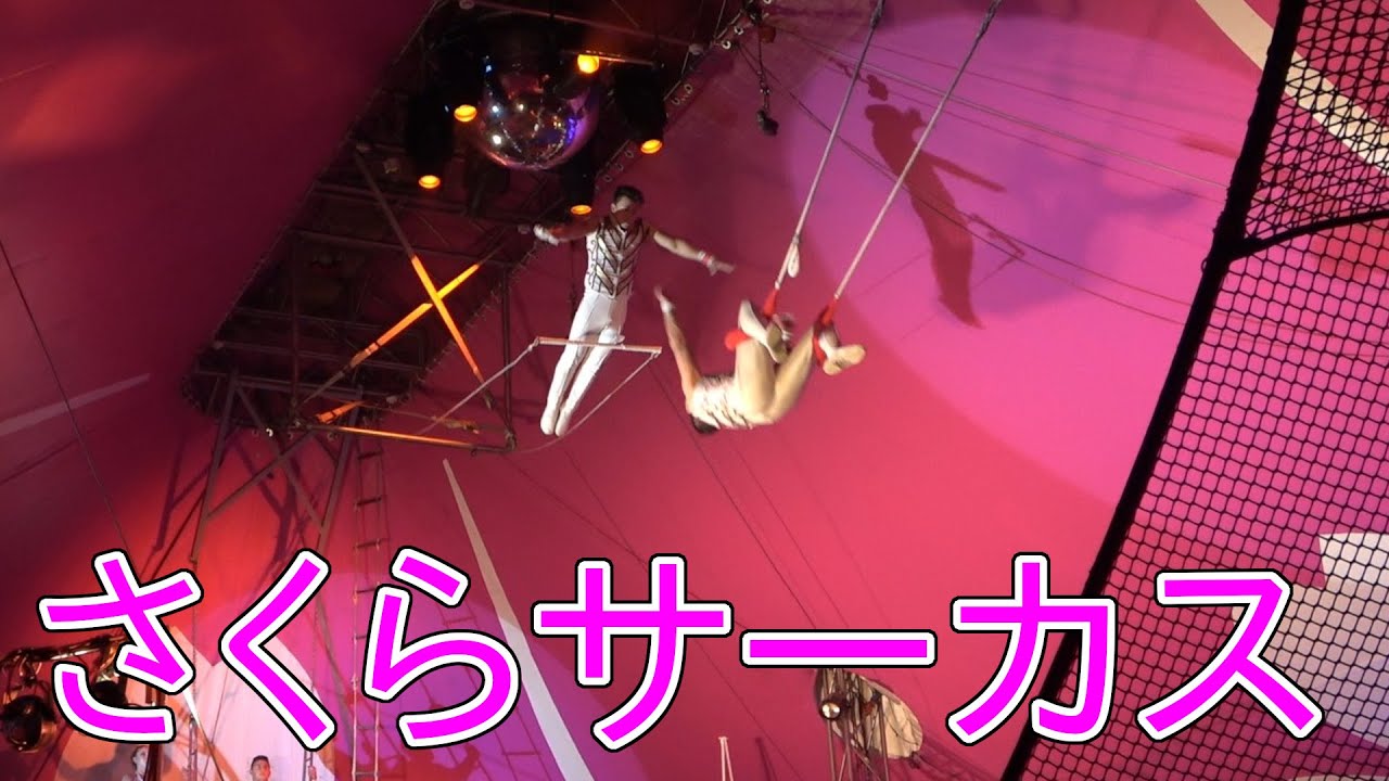 [さくらサーカス]空中ブランコとエンディング (Sakura Circus)
