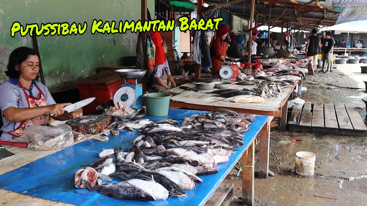 Pasar Baru Putussibau Banyak Ikan Besar Dari Sungai Kapuas // Market Terpanjang Di Kalimantan…//