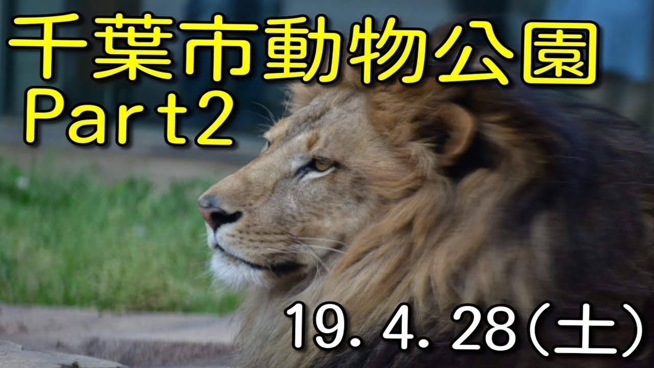 千葉市動物公園Part2　ゴールデンウィークラスト投稿。