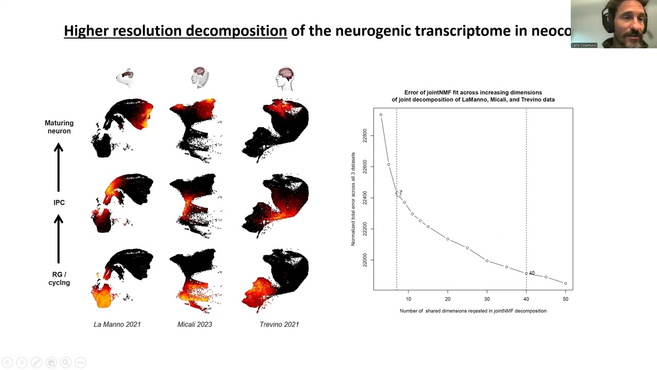 NeMO Analytics: Focus on Neural Progenitors & Outer (basal) Radial Glia