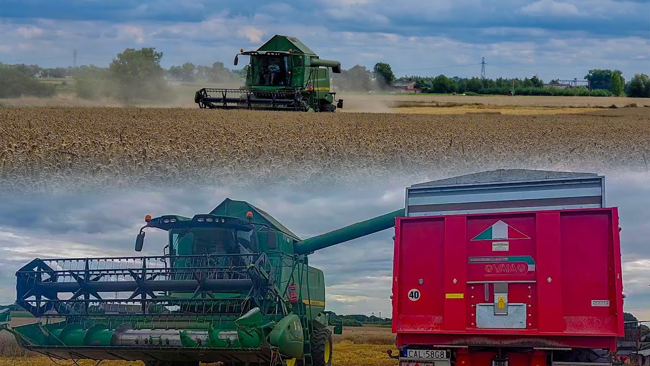 Kolejne Dni Łapanych Żniw 2023 | John Deere W540 | Piękne Ujęcia Z Drona