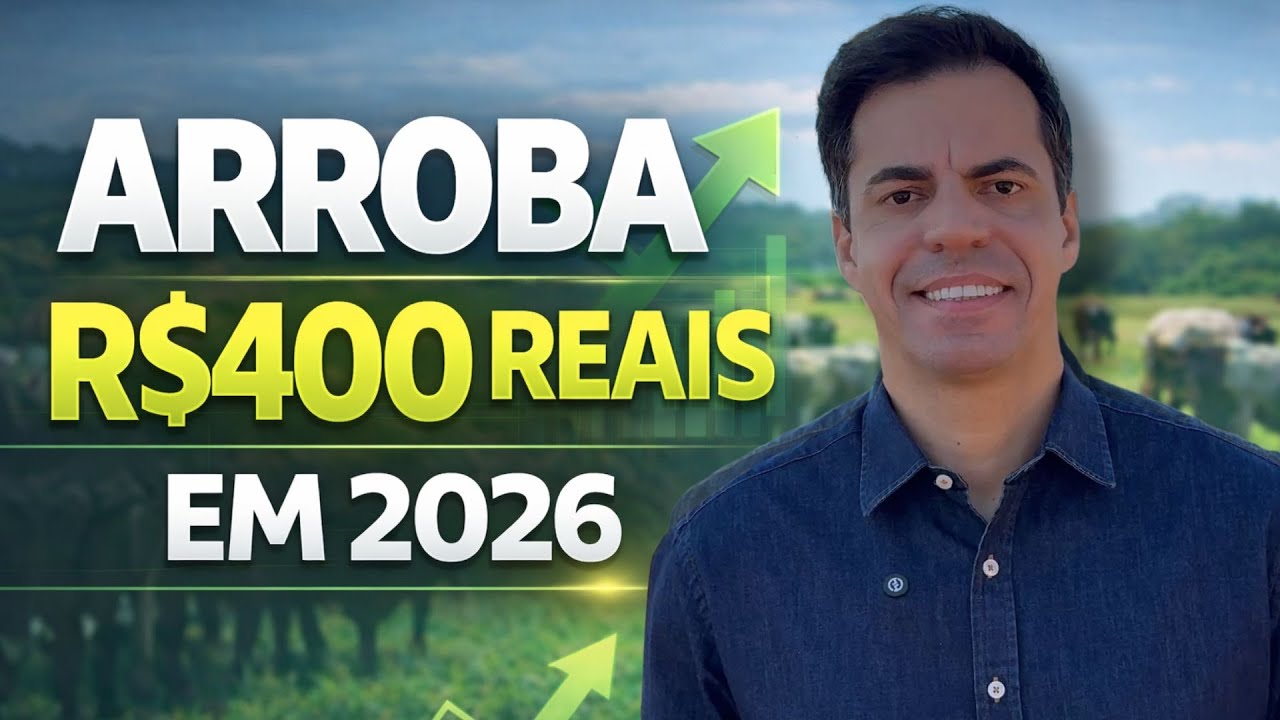 COMO DIMINUIR O CUSTO DA PRODUÇÃO DE ARROBA EM 2026? (SEM PERDER GANHO DE PESO)