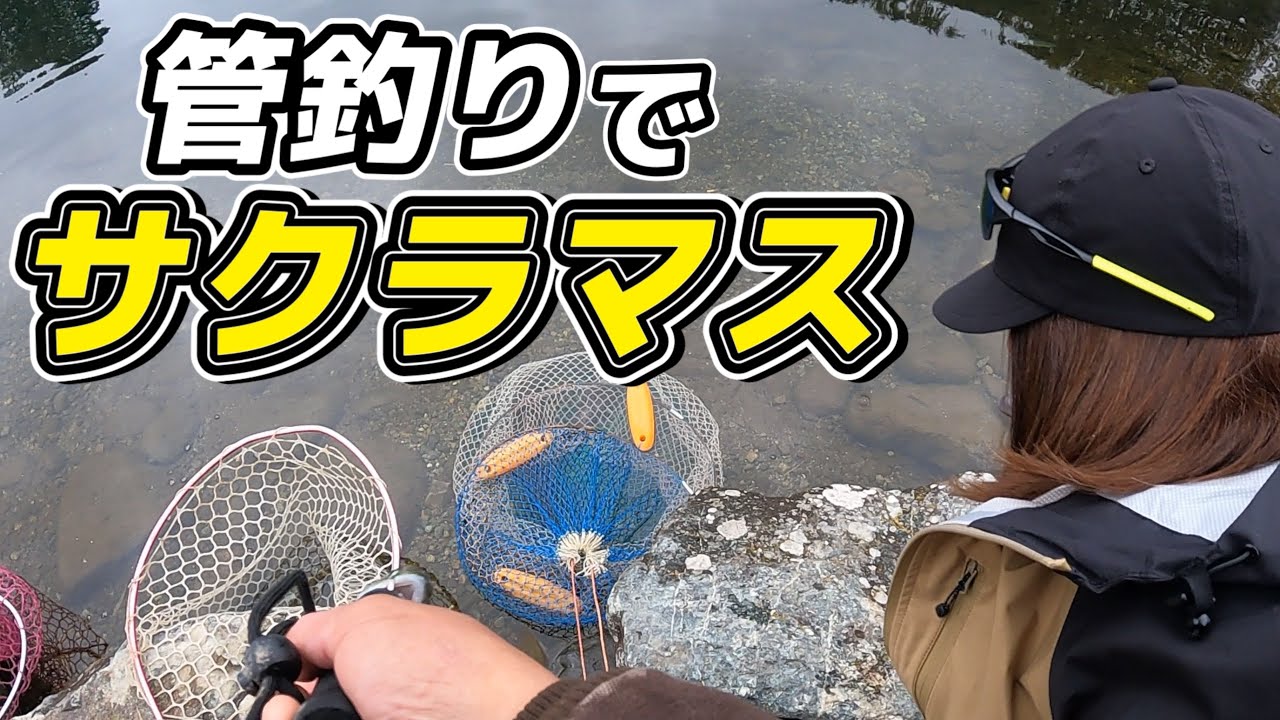 美味い！管釣りで大人気のサクラマスを釣りたい