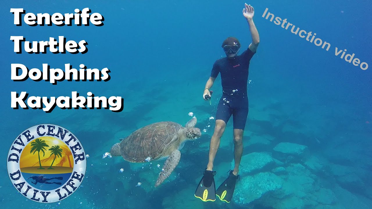 Kayaking and snorkeling with turtles INSTRUCTION in Tenerife