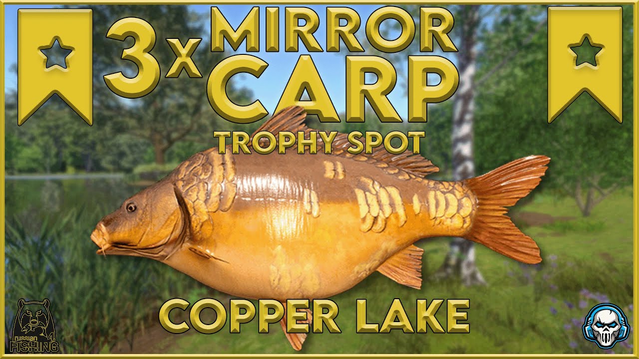 3x MIRROR CARP TROPHY SPOT! COPPER LAKE - Russian Fishing 4 #rf4 #русскаярыбалк