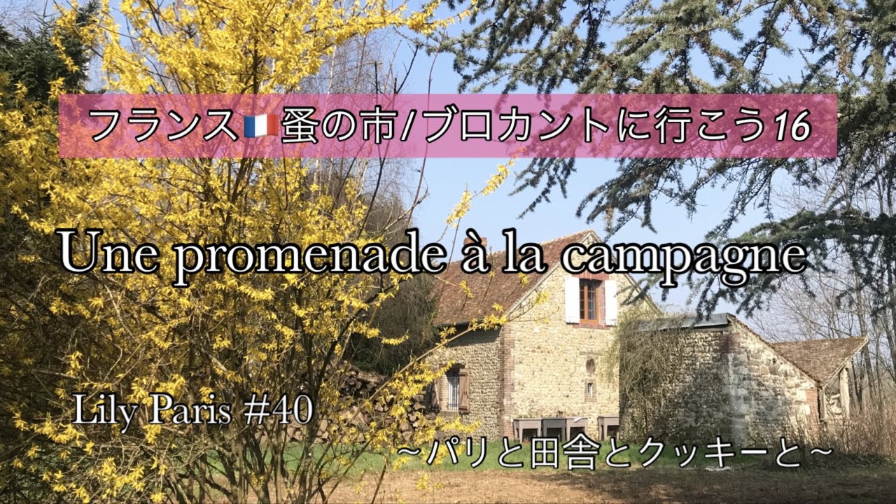 #41 【フランス🇫🇷|蚤の市|ブロカントに行こう16】🌿田舎のお家にもうすぐ春がやってくる/いつものブロカントショップで家具を見る🌿
