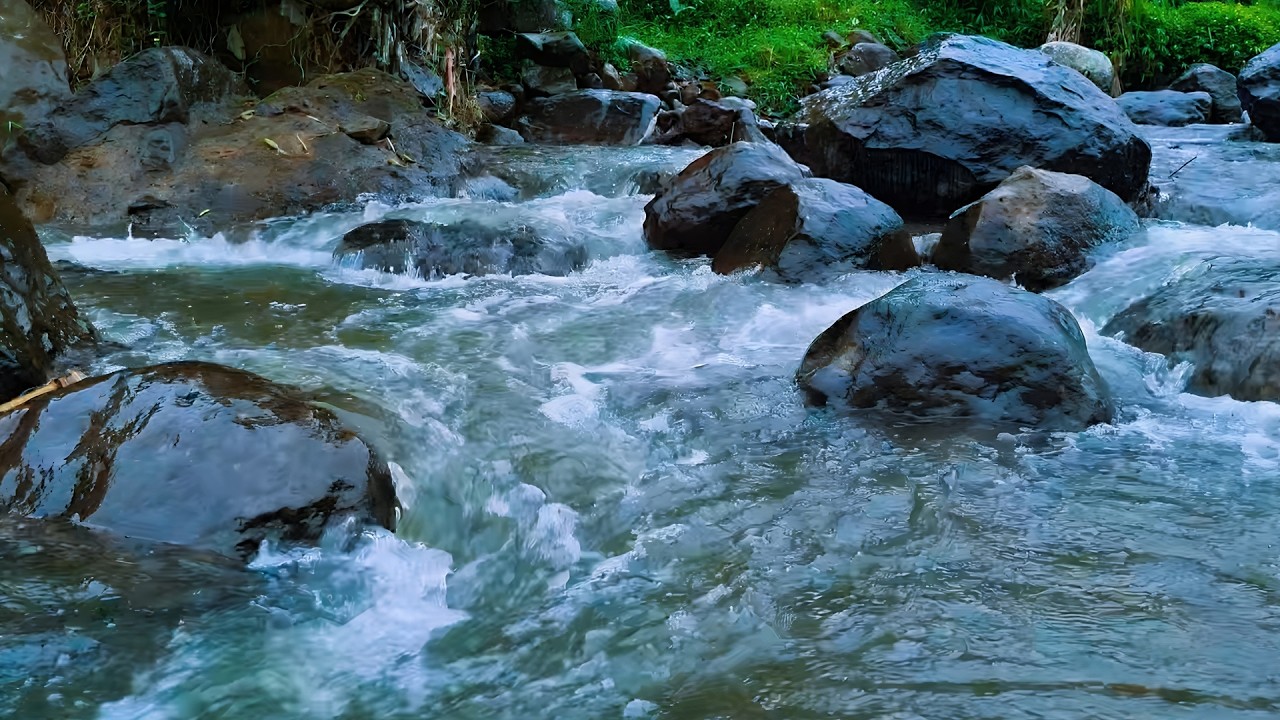 Relaxing River Water Flow and Bird Sounds for Deep Sleep, Study Focus, Stress Relief & Meditation