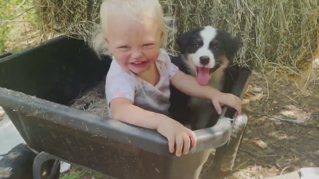Wasting Hay? | Budget-Friendly DIY Wood Pallet Hay Feeder For Homestead Savings